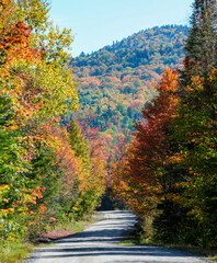Country Road with Autumn Foilage in Vermont