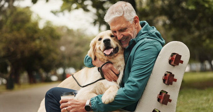 Park, senior man and dog with hug for bonding, fitness break and companion in retirement outdoor. Male person, happy owner and care for golden retriever as animal, friendly pet and loyalty on bench