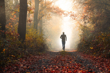 Solitary Runner Embracing the Tranquility of Autumn Nature