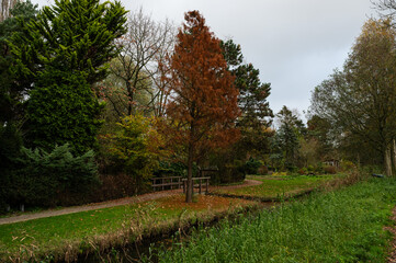 Autumn colors at the Volkstuinbeweging city park in Amsterdam, The Netherlands