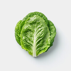 Fototapeta premium Fresh Green Romaine Lettuce Leaf Isolated on Light Background Perfect for Healthy Eating Concepts, Organic Cooking, and Culinary Presentations