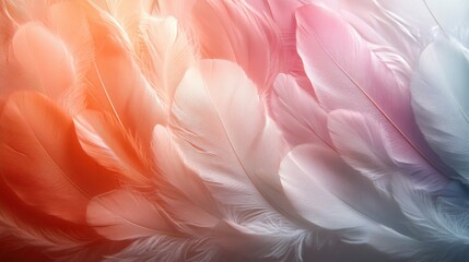 Feathers are arranged in a row on a colorful background