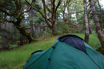 tent in the forest in scotland