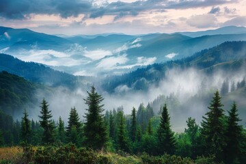 Fototapeta premium Early morning mist envelops a tranquil mountain valley, where dense forests meet rolling hills, creating an enchanting and serene natural landscape.