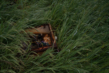 Rusted old computer lying in grass