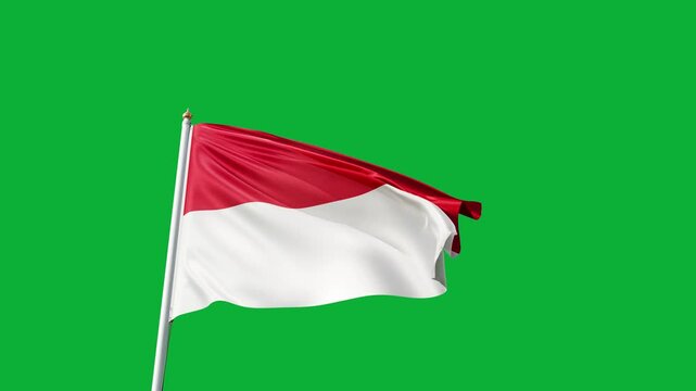 flag of monaco on a green screen, no background, transparent background, waving in the wind, national symbol of monaco, tall flagpole, video of a flag	