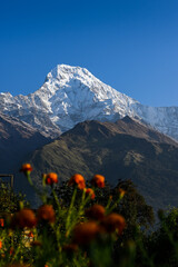 Majestic view of Annapurna South peak from Tadapani, Nepal