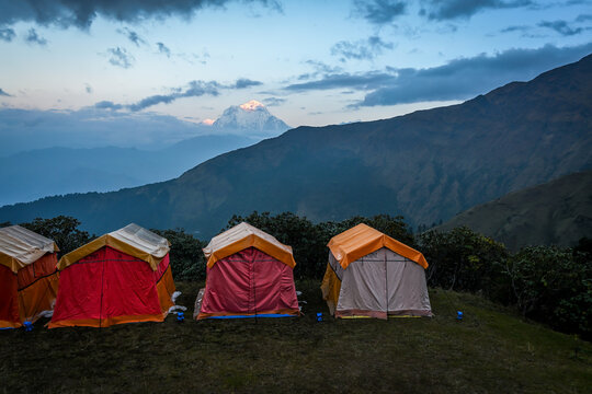Tents pitched at Bayeli kharka, Nepal with a background of dark clouds and golden peak of Mt Dhaulagiri