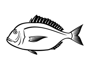 Stencil illustration of a Evynnis tumifrons, yellowback seabream, crimson seabream, goldentail or red seabream in the family Sparidaeon side view done in black and white retro style.
