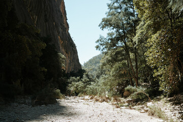 Fototapeta premium Beautiful gorge for hiking in Australia