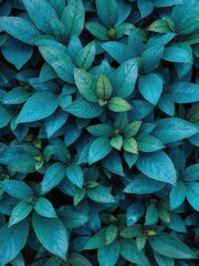 Obraz premium Vibrant blue leaves creating a stunning and vivid background, outdoor, nature