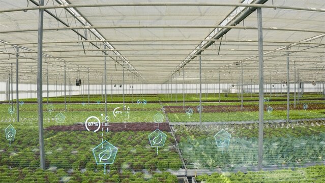 Drone shot of high tech agricultural greenhouse controlled by automatized technology parameters, AR visualization. AR hologram statistics over certified organic eco friendly farm crops
