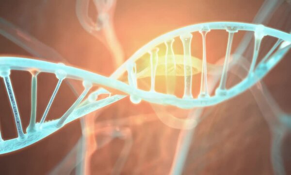 Exploring the Blueprint of Life: A Comprehensive Visualization of DNA, RNA, and Genetic Structures