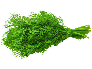 Fototapeta premium Fresh dill herb displayed in a bunch, showcasing its vibrant green color and feathery leaves, commonly used in culinary dishes for flavor enhancement.