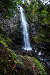 Fototapeta premium Scotland 92