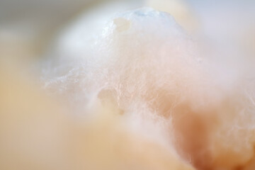 Fototapeta premium Growth of mycelium on white rice 