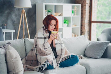 Full length photo of young ginger girl sit sofa wrapped blanket drink smell aroma coffee dressed khaki garment spacious house indoors room