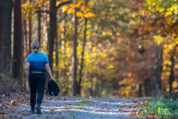 Fototapeta premium walking in the forest