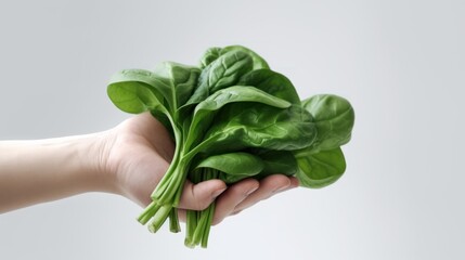 Fresh Spinach in Hand