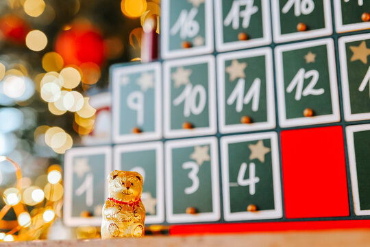 Advent calendar.Chocolate bear in gold foil row with advent calendar on Christmas tree background in a bright, cozy room.Christmas traditions. Gifts and surprises for New Year 