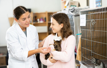 Smiling caring young female volunteer showing little dark kitten with cute red muzzle to preteen...