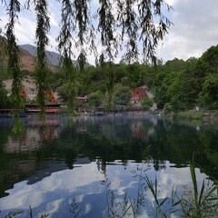 Obraz premium reflection of trees in lake