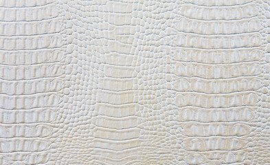 Crocodile skin white leather texture background