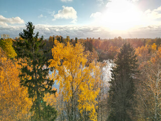 Breathtaking view of autumn november forest, background wallpaper - aerial drone shooting, Finland nature
