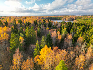 Fototapeta premium Breathtaking view of autumn november forest, background wallpaper - aerial drone shooting, Finland nature