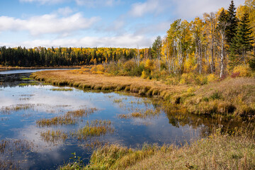 A lake with a forest in the background