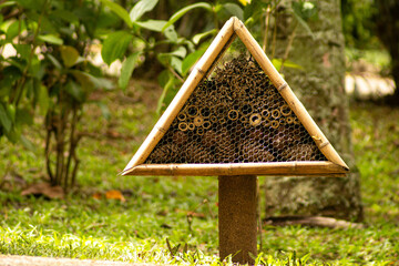 Estrutura construída com bambu para abelhas construírem sua coméia. 