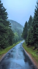 Fototapeta premium Serene road through misty forest landscape.