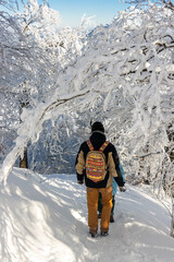 Hikers walk under snow-covered trees in a winter forest