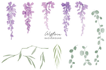 Set of Watercolor of wisteria, isolated on a white background. Floral frame. Watercolor Pink and purple wisteria illustration isolated on a white background.
