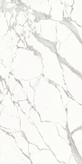 Obraz premium italian white marble texture,White marble with golden veins,ceramic marble design