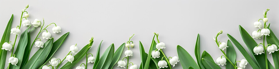 Delicate Lily of the Valley Flowers Peeking Through
