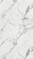 Obraz premium emperador statuarietto quartzite, polished carrara statuario marble texture, calacatta glossy limestone marbel, satvario tiles, bianco superwhite, italian blanco catedra stone pattern digital tile.