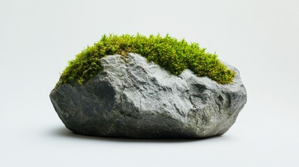 Natural Rock with Vibrant Green Moss on Top, Showcasing Textures and Colors Against a Clean White Background for Use in Nature and Landscape Projects