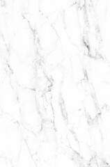 Obraz premium italian white marble texture,White marble with golden veins,ceramic marble design