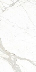 italian white marble texture,White marble with golden veins,ceramic marble design