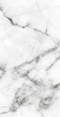 Obraz premium italian white marble texture,White marble with golden veins,ceramic marble design