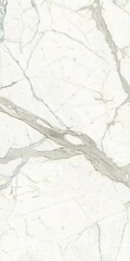 Obraz premium Marble granite white background wall surface black pattern graphic abstract light elegant gray for do floor ceramic counter texture stone slab smooth tile silver natural for interior decoration.