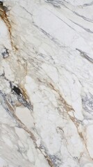 Marble wall white graphic pattern abstract black for do ceramic counter texture tile gray background natural for interior decoration and outside elegant light.