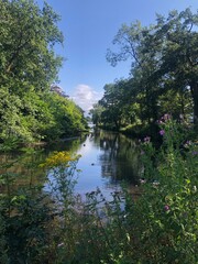 Lake with flowers 