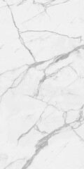 Obraz premium italian white marble texture,White marble with golden veins,ceramic marble design