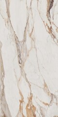 italian white marble texture,White marble with golden veins,ceramic marble design
