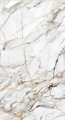 italian white marble texture,White marble with golden veins,ceramic marble design