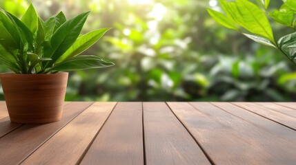 Fototapeta premium A serene image featuring a potted plant on a wooden table, illuminated by soft natural light, This photo is perfect for interior design, gardening, or wellness themes
