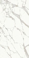 Obraz premium Wall and floor tiles and marble modern designs decor seamless texture for beatiful home interior scene and designs