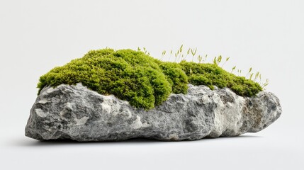 Fototapeta premium Lush Green Moss Growing on Rocky Surface Ideal for Nature Lovers, Garden Enthusiasts, and Environmental Awareness Campaigns